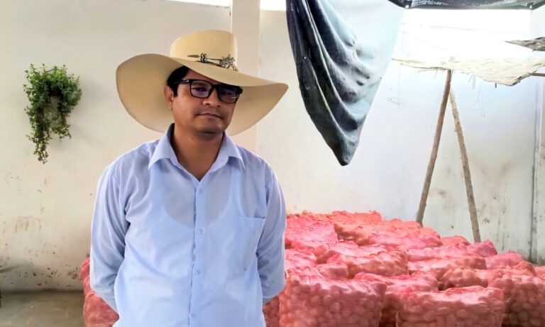 Entregan semilla de papa de Huasahuasi para el Valle de Tambo