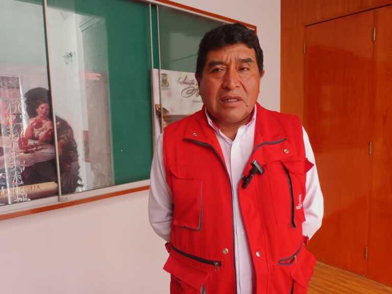 Plaga de la mosca de la fruta afecta a las tres provincias de Moquegua