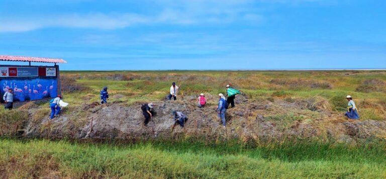 Realizan campaña de reforestación en el Santuario Nacional Lagunas de Mejía