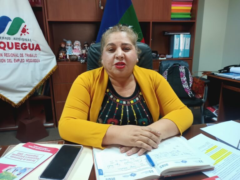 Dirección de Trabajo anuncia capacitaciones para jóvenes y Construcción Civil