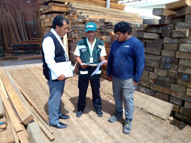 Ilo: Serfor decomisa 1128 pies tablares de madera
