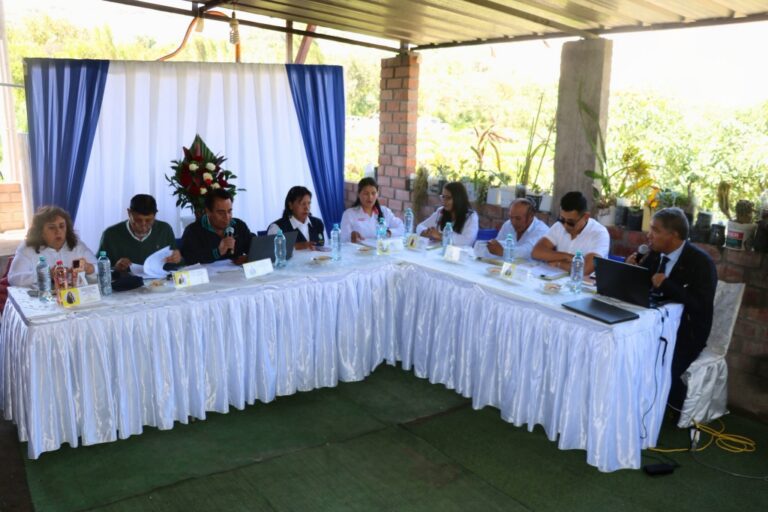 Consejo Regional aprueba transferencia de S/ 2 millones para proyecto vial en Omate