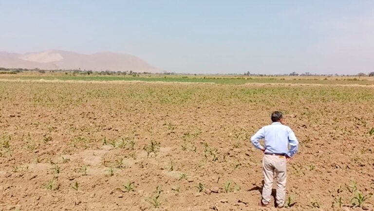 Dirección regional de Agricultura alerta sobre tráfico ilegal de terrenos