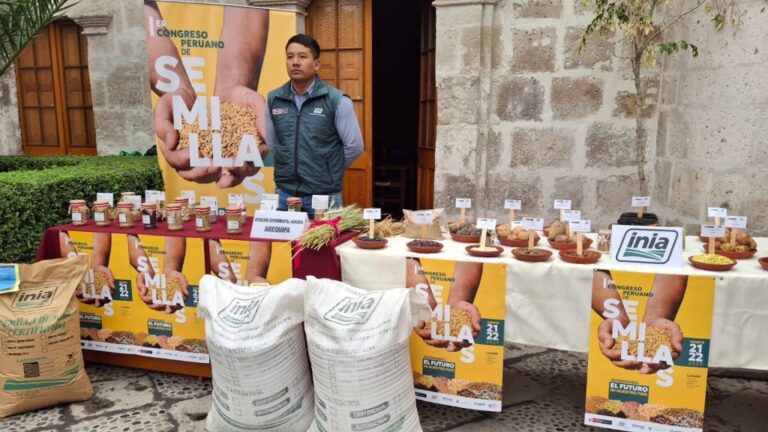 Arequipa: MIDAGRI realizará primer Congreso Peruano de Semillas