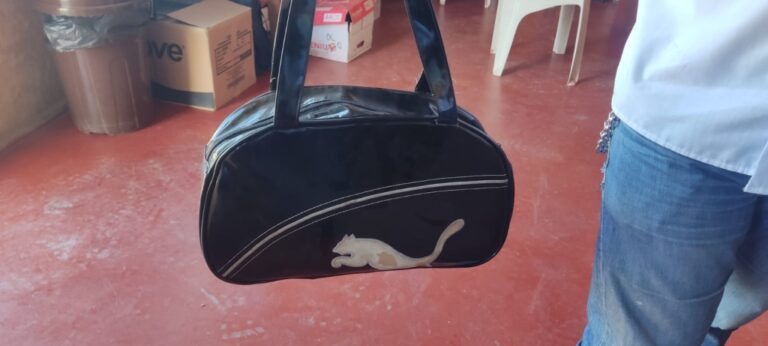 Serenazgo municipal devuelve cartera extraviada a vecina en Moquegua