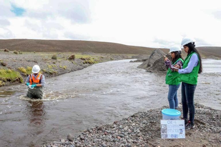 Ciencia ciudadana: una nueva forma de construir conocimiento junto a la sociedad