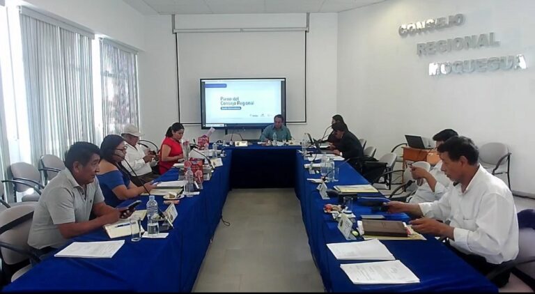 Consejo Regional de Moquegua exige retorno de policías y mayor seguridad en la región