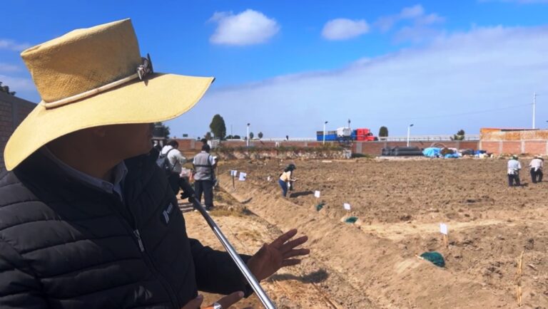 Celebran el Día de la Papa con jornada de capacitación en Cocachacra