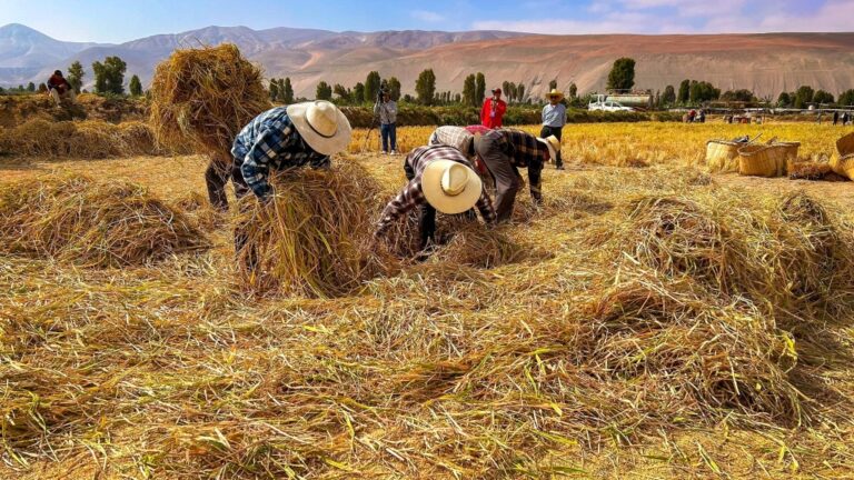 ‘Tu voz construye el cambio’: convocan a diagnóstico participativo en Cocachacra