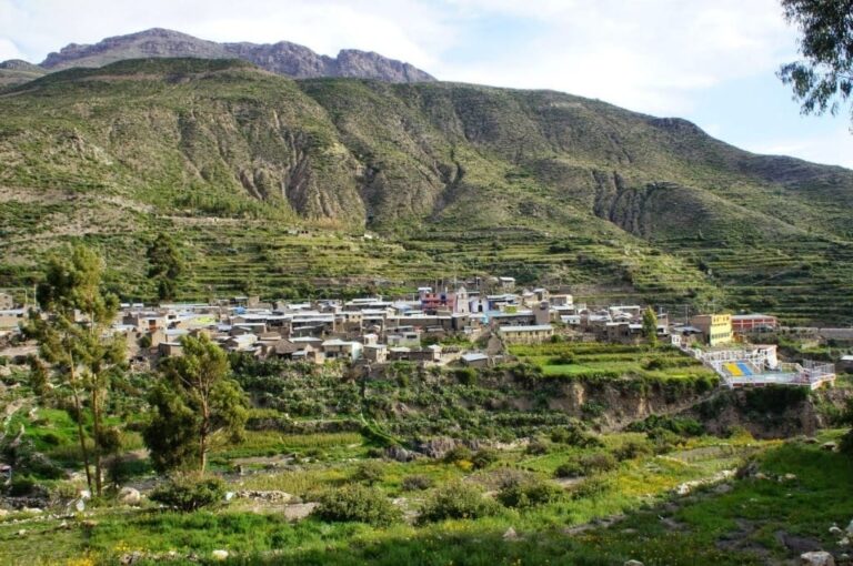 Problemas por terrenos en distrito de Yunga: “Vivimos sin títulos, sin justicia y sin protección”