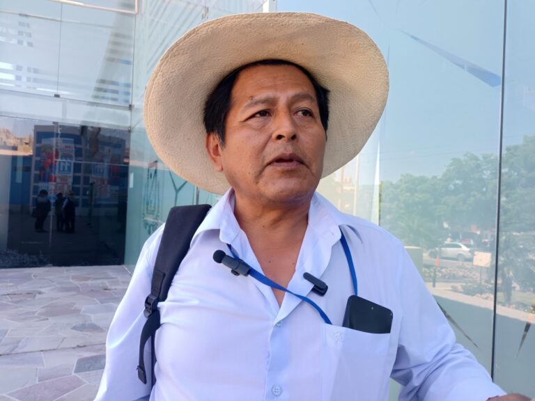 Empadronan a mascotas para prevenir enfermedades y controlar la sobrepoblación en San Antonio