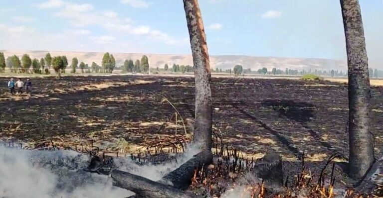 Por quema de rastrojos: incendio afecta cinco viviendas en El Arenal