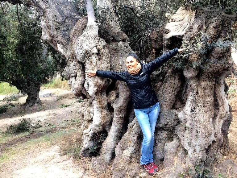 Ilo, mi puerto de ensueño