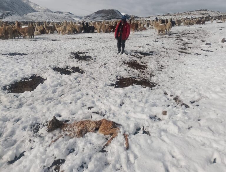 Intensa nevada afecta a familias de Pallatea, en San Cristóbal – Calacoa