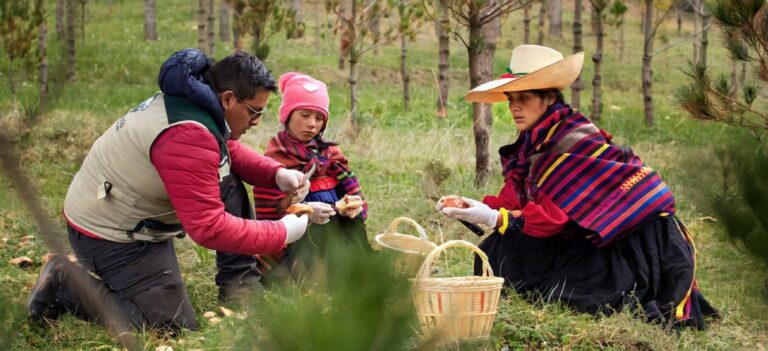PERUMIN Inspira amplía convocatoria para premiar emprendimientos sociales