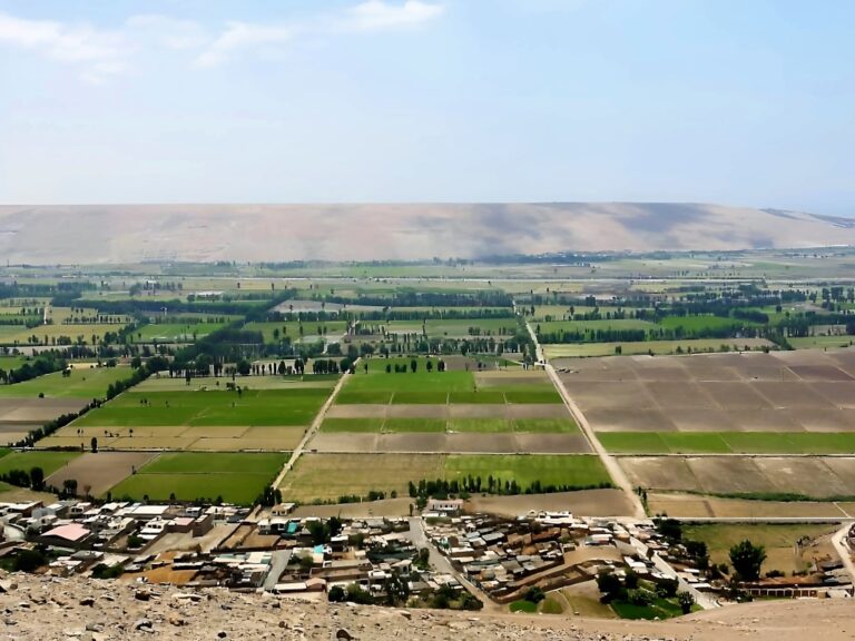 Impulsan plan estratégico para fortalecer el agro en Arequipa