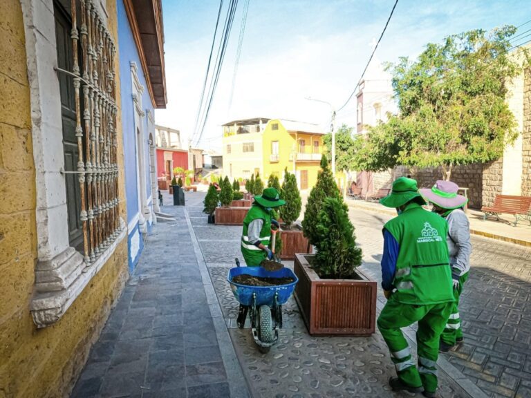 Saldo total de créditos en Moquegua disminuyó -3.7%