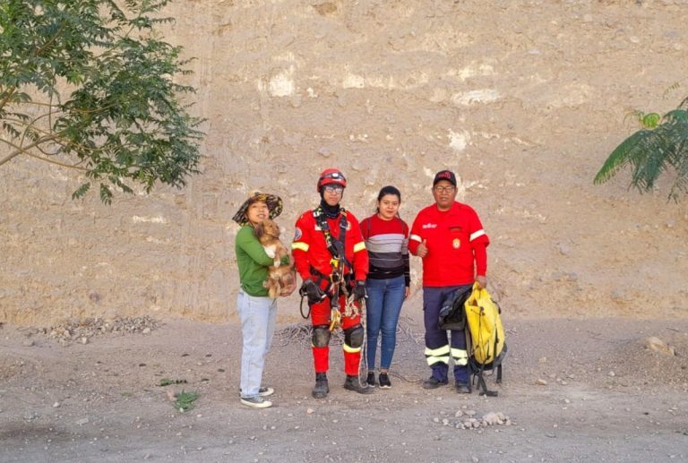Bomberos rescatan a can atrapado en el mirador de Chen Chen