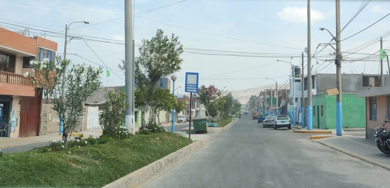 Cocachacra registra mayor anemia en gestantes