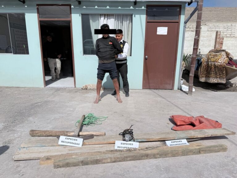 Ilo: Intervienen a sujeto en flagrancia por hurto agravado en inmueble 