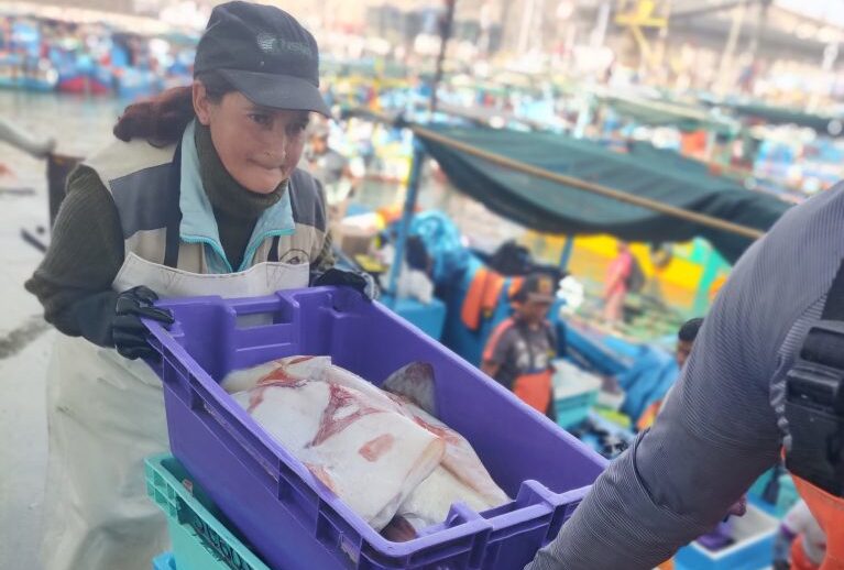 Paralizarán actividades en el muelle privado de Matarani por riesgo del talud