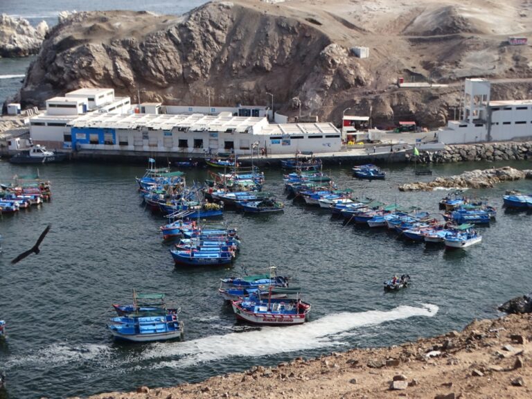 La digitalización en las micro y pequeñas empresas