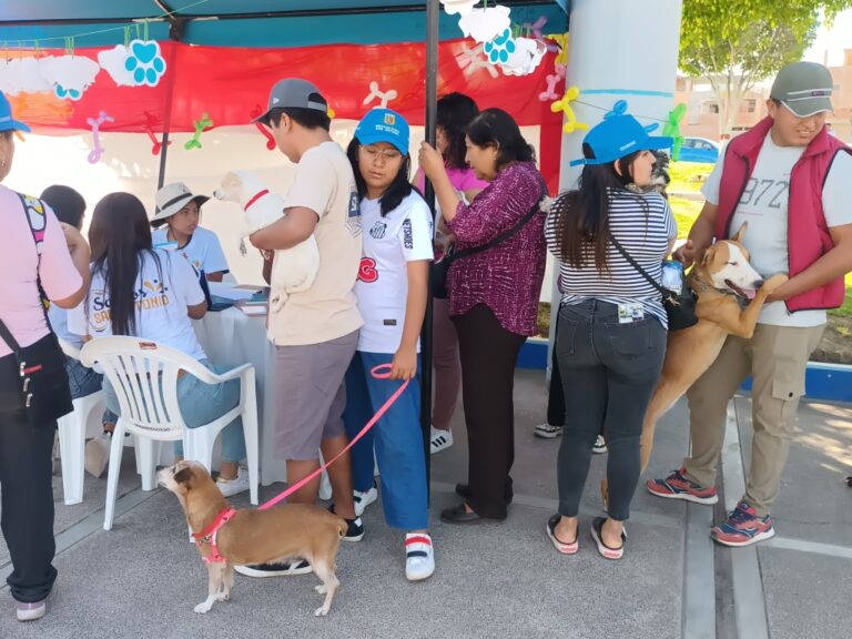 Festival de vacunación y desparasitación para mascotas en San Antonio