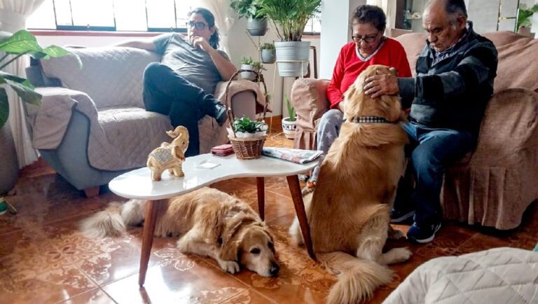 INEI registrará mascotas en los hogares desde julio