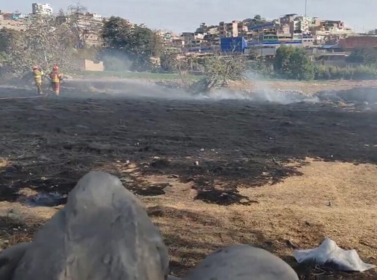 Incendio por quema de pastizales generó alarma y densa humareda en sector El Pedregal