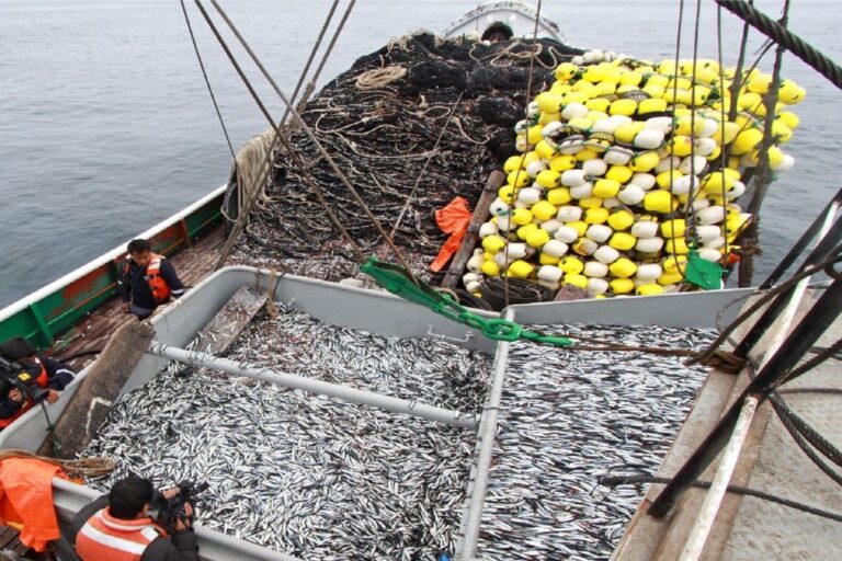 Anchoveta: autorizan segunda temporada de pesca en Zona Sur del Perú