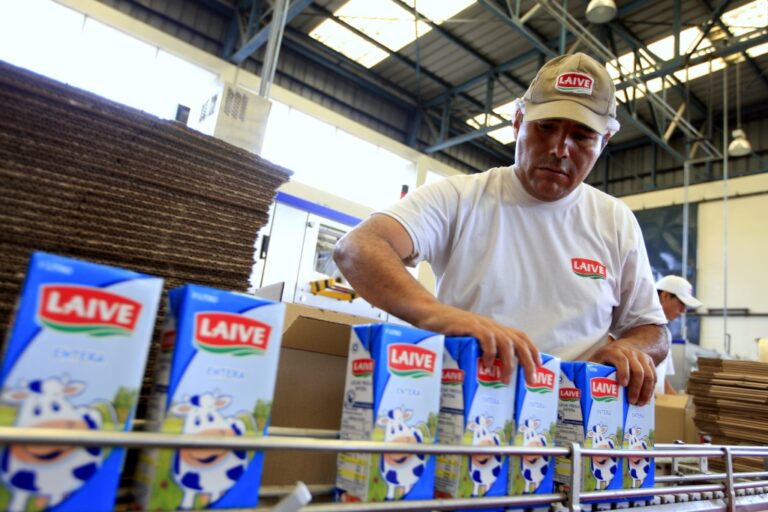 Laive reduce utilidad neta en 25 % durante el primer trimestre de 2025