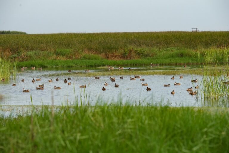 Provincia de Islay: ecosistemas frágiles y patrimonio cultural de la nación