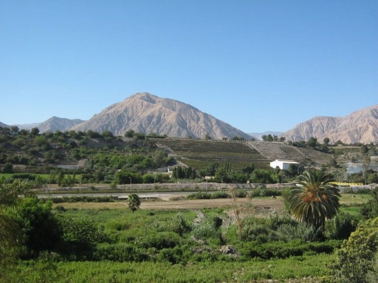 Mi Moquegua, tierra bendita