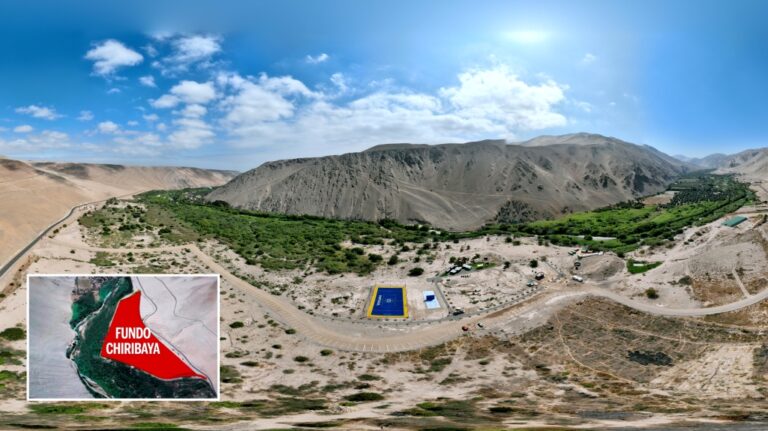 Del olivo al concreto: la amenaza que avanza sobre el valle de Ilo