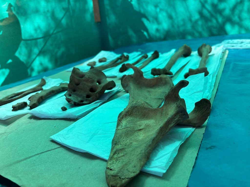 Hallan restos arqueologicos durante trabajos en Pampas de San Antonio 22072025 5 La Prensa Regional