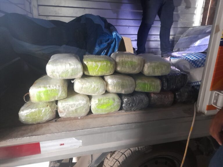 Moquegua: capturan a sujeto con más de 15 kilos de marihuana ocultos en un furgón
