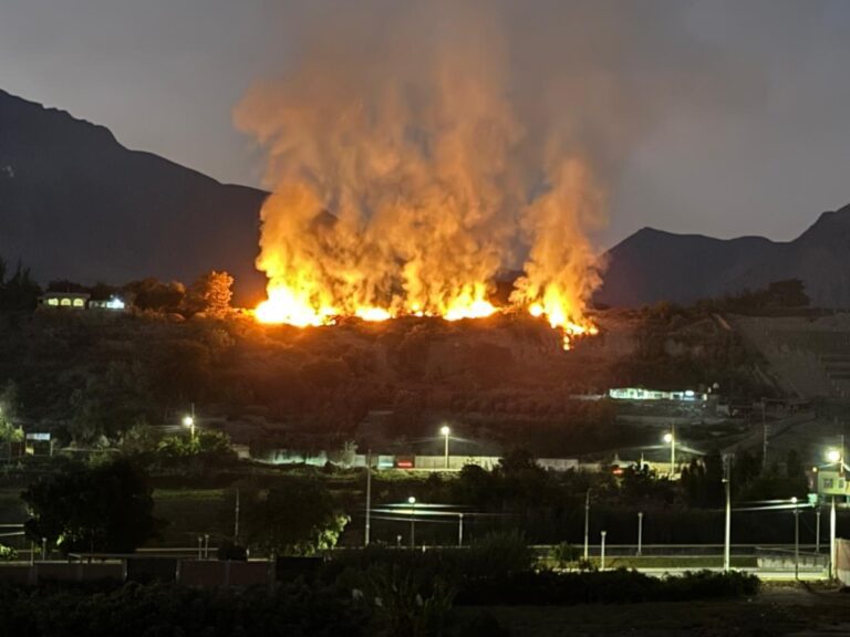 Incendio forestal de gran magnitud ocurrió en el sector El Rayo en Moquegua