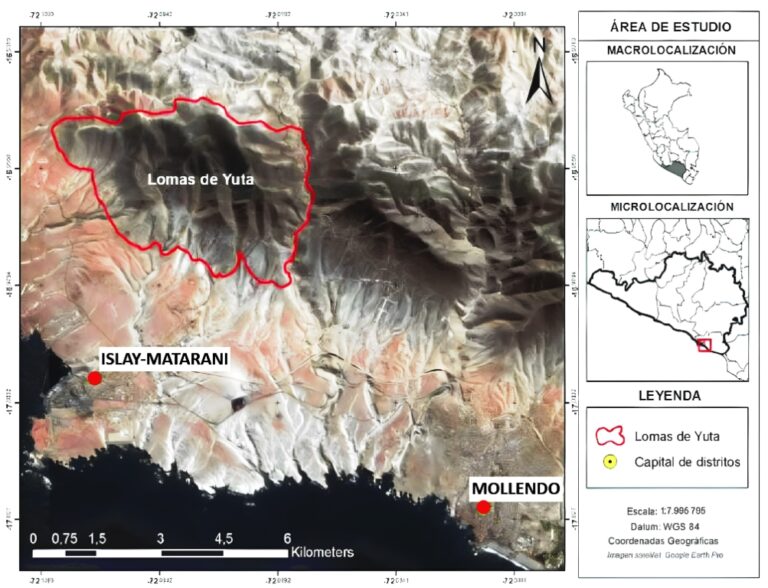 Postergan demarcación de lomas de Yuta