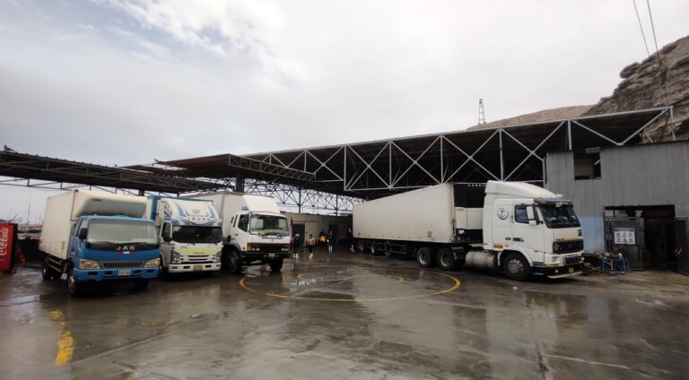Con restricciones reanudan actividades en muelle privado de Matarani