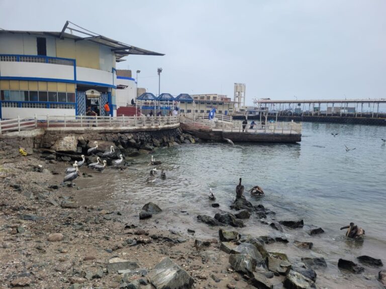 Olas del terremoto en Rusia llegaron a Ilo sin causar daños ni alarma