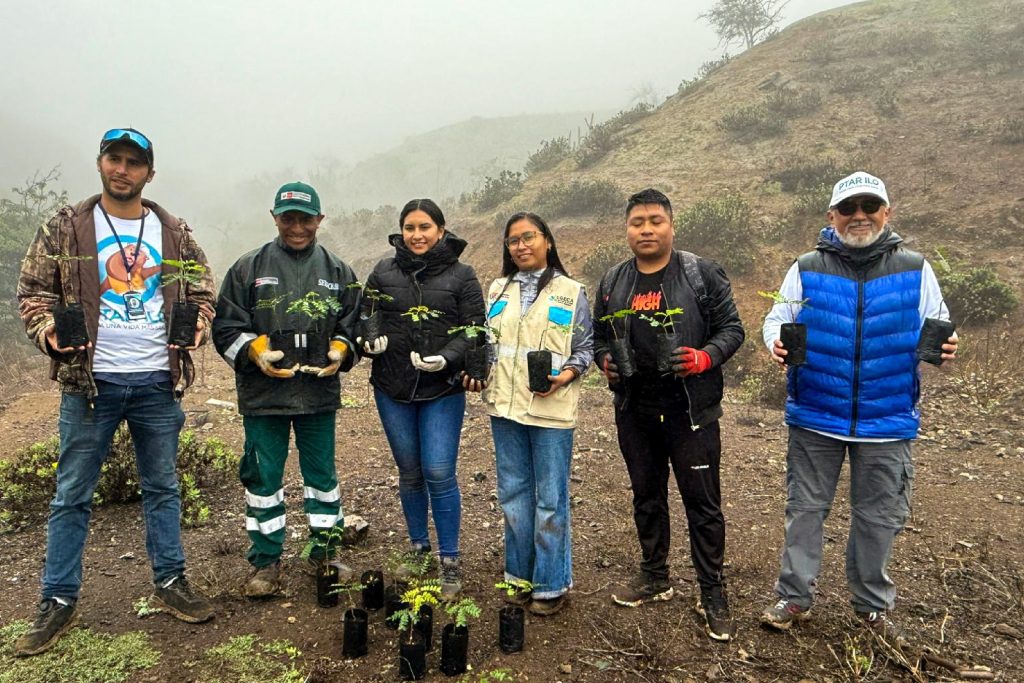 Reforestan las Lomas de Tacahuay con tara como parte del proyecto PTAR Ilo de Southern Perú 3 Reforestan Lomas de Tacahuay con tara PTAR Ilo de Southern Peru 03072025 4 La Prensa Regional