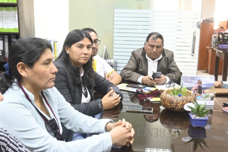 Mejía coordina ejecución de fondos contra anemia