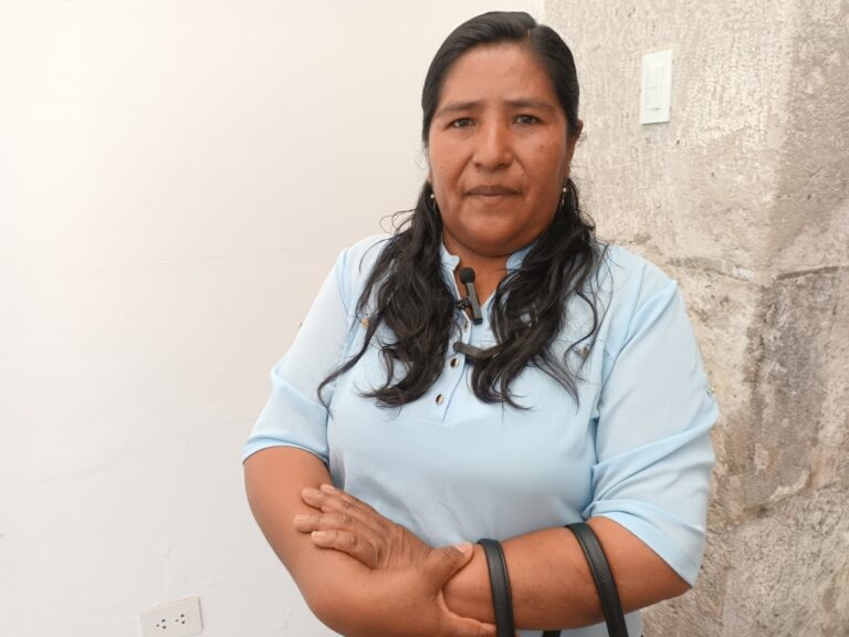 Alcaldesa de Aruntaya reporta enfermedades y muertes de animales por friaje