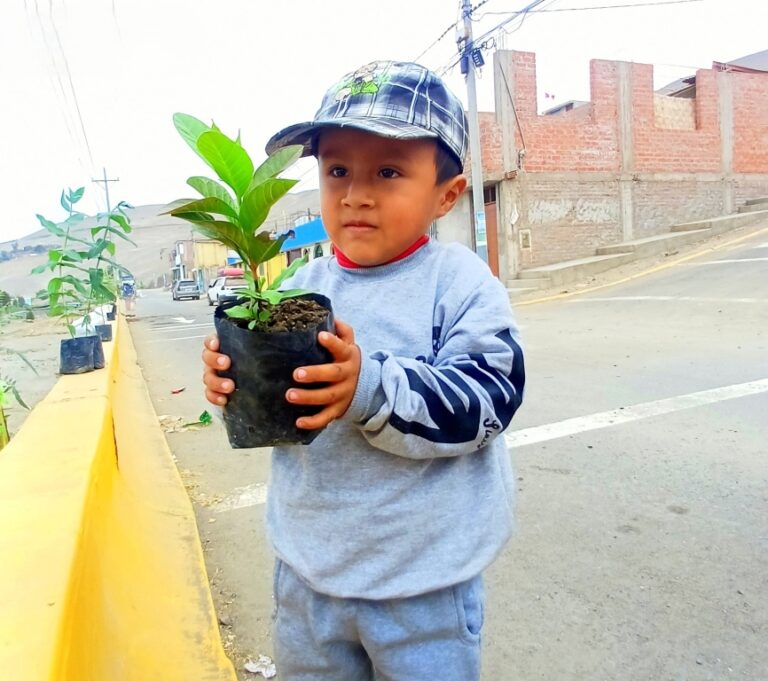 Se viene segunda campaña de arborización en Deán Valdivia