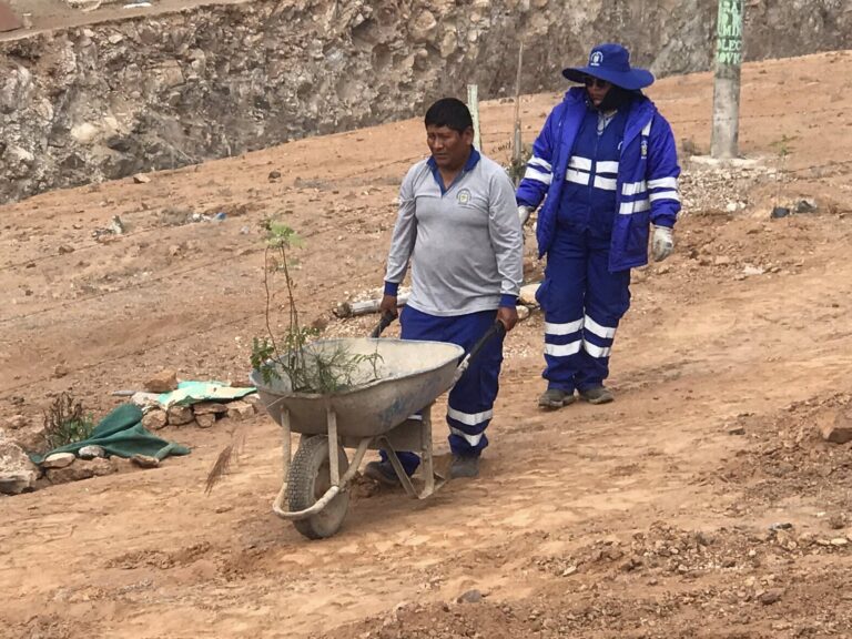 Celebran el Día del Árbol con plantación en la zona alta de AVIS Costanera