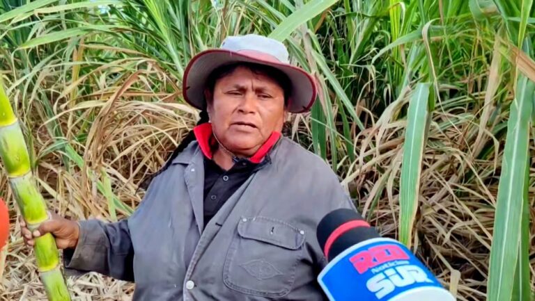 Doña Yola, la reina de la caña dulce en el sur