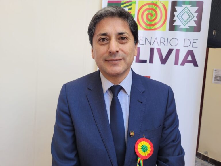 Bolivianos residentes en el sur del Perú participaron en elecciones generales sin incidentes