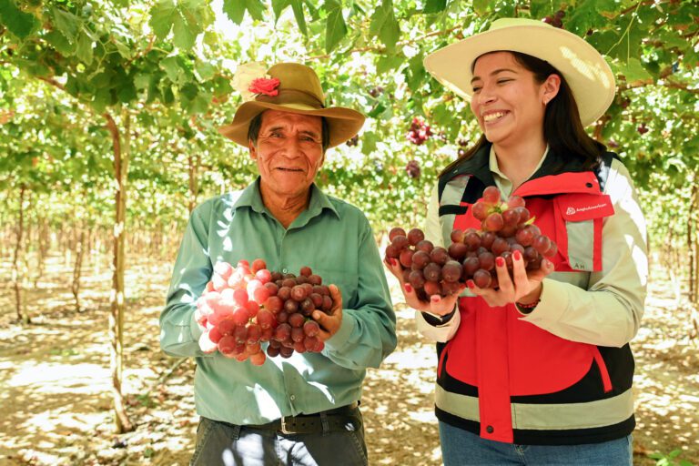 Créditos Agro Quellaveco siembran esperanza en los campos de Moquegua