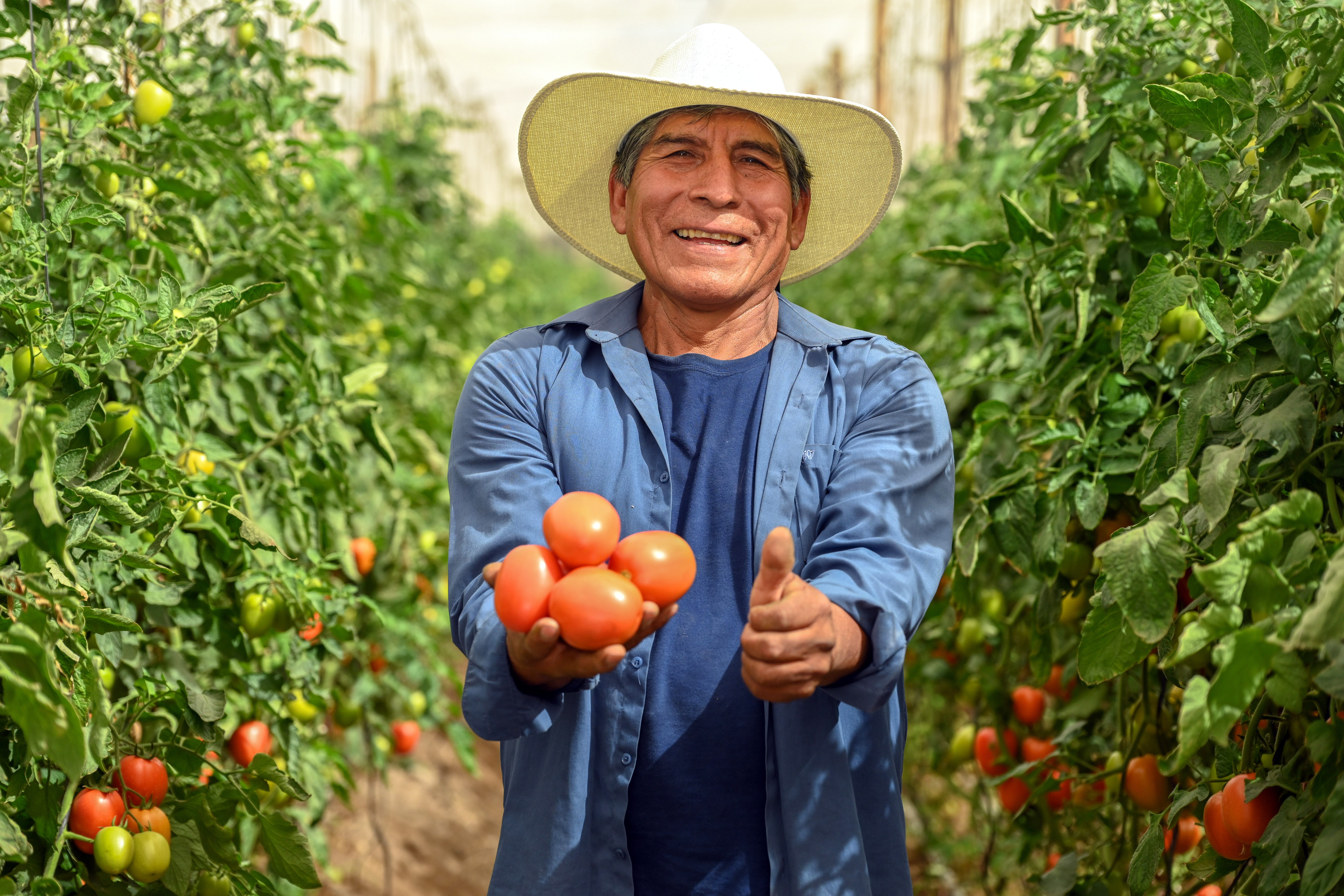 Creditos Agro Quellaveco siembran esperanza en los campos de Moquegua 19082025 3 Rene Ventura La Prensa Regional