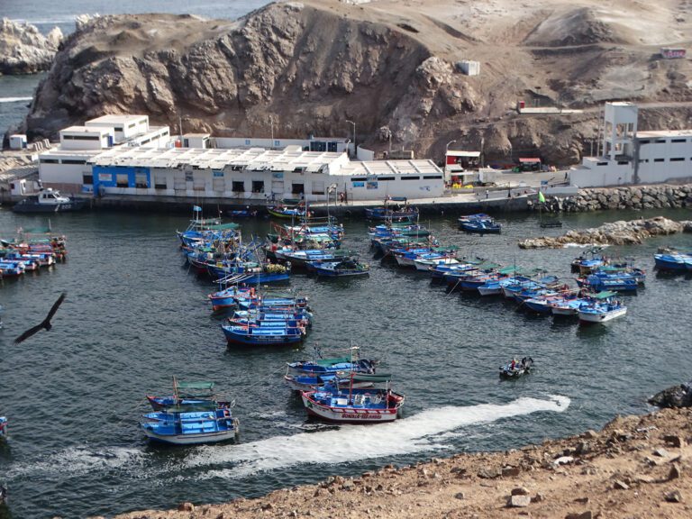 Presentarán avances del proyecto del DPA Mollendito